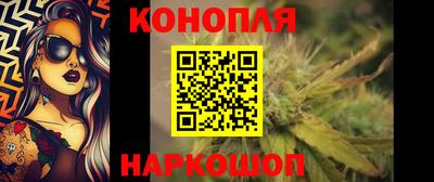 индика Будённовск