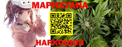 индика Будённовск
