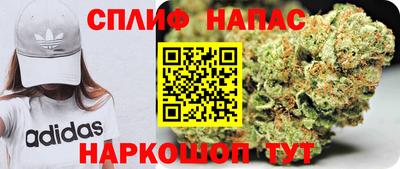 индика Будённовск