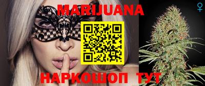 индика Будённовск