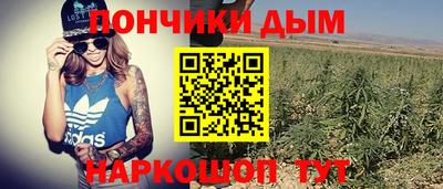 индика Будённовск
