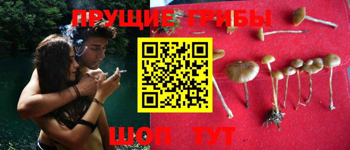 Галлюциногенные грибы мухоморы Нижневартовск